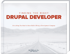 picture of ebook download "Finding the Right Drupal Developer"